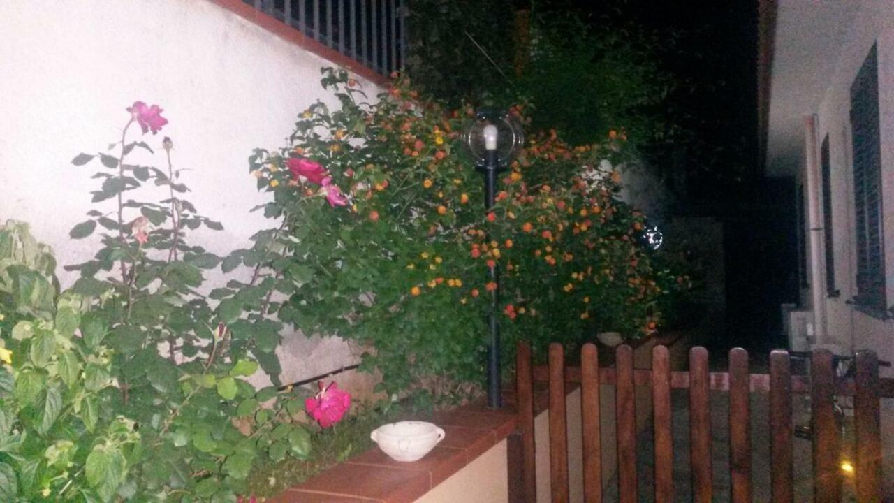 Villa Sunshine 巴莱斯特拉泰 外观 照片